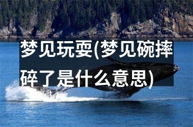 梦见玩耍(梦见碗摔碎了是什么意思)