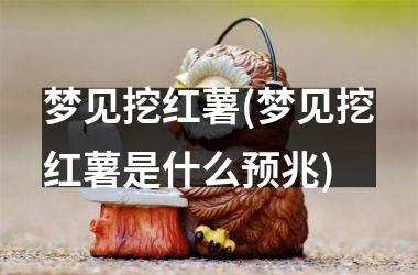 <h3>梦见挖红薯(梦见挖红薯是什么预兆)