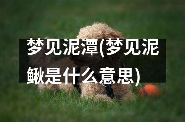 <h3>梦见泥潭(梦见泥鳅是什么意思)