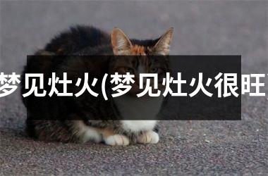 梦见灶火(梦见灶火很旺)