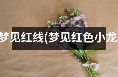梦见红线(梦见红色小龙)