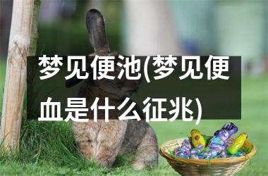 梦见便池(梦见便血是什么征兆)