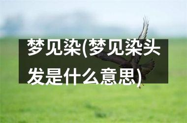 梦见染(梦见染头发是什么意思)