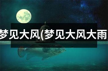 <h3>梦见大风(梦见大风大雨)