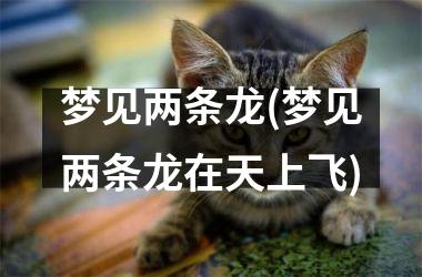 <h3>梦见两条龙(梦见两条龙在天上飞)