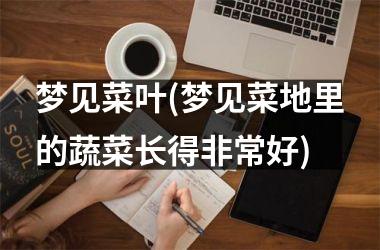 <h3>梦见菜叶(梦见菜地里的蔬菜长得非常好)