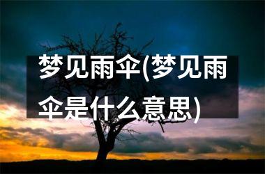 <h3>梦见雨伞(梦见雨伞是什么意思)