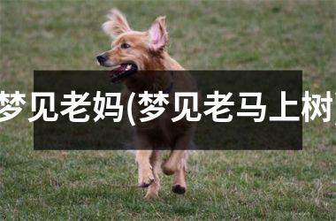 梦见老妈(梦见老马上树)