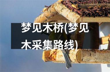 梦见木桥(梦见木采集路线)