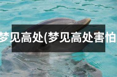 <h3>梦见高处(梦见高处害怕)