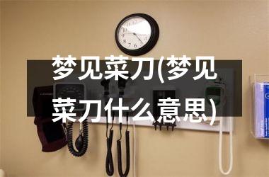 <h3>梦见菜刀(梦见菜刀什么意思)