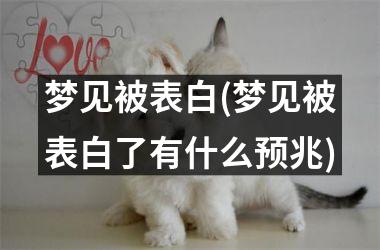<h3>梦见被表白(梦见被表白了有什么预兆)