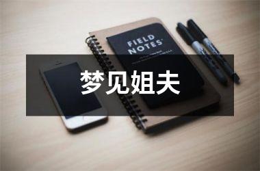 <h3>梦见姐夫
