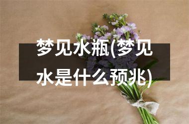 <h3>梦见水瓶(梦见水是什么预兆)