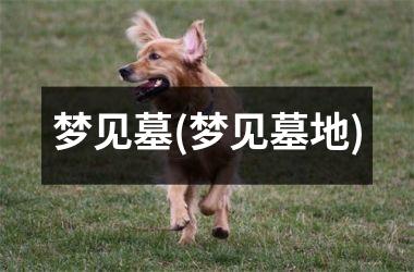 <h3>梦见墓(梦见墓地)