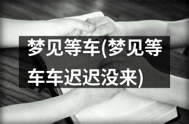 <h3>梦见等车(梦见等车车迟迟没来)