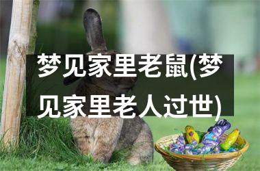<h3>梦见家里老鼠(梦见家里老人过世)