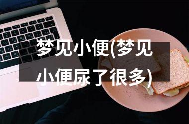 梦见小便(梦见小便尿了很多)