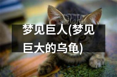 <h3>梦见巨人(梦见巨大的乌龟)
