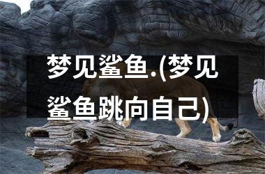 梦见鲨鱼.(梦见鲨鱼跳向自己)
