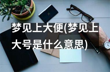<h3>梦见上大便(梦见上大号是什么意思)