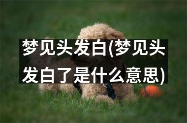 梦见头发白(梦见头发白了是什么意思)