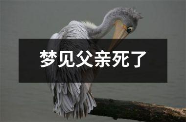 <h3>梦见父亲死了