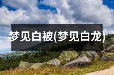 <h3>梦见白被(梦见白龙)
