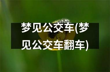 <h3>梦见公交车(梦见公交车翻车)