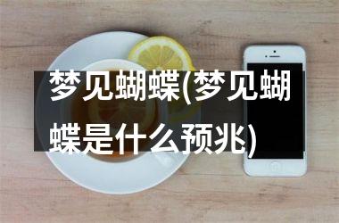 <h3>梦见蝴蝶(梦见蝴蝶是什么预兆)