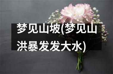 <h3>梦见山坡(梦见山洪暴发发大水)