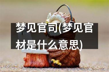 <h3>梦见官司(梦见官材是什么意思)