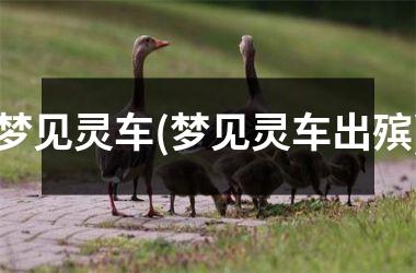 <h3>梦见灵车(梦见灵车出殡)