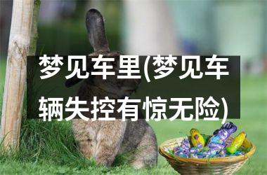 <h3>梦见车里(梦见车辆失控有惊无险)