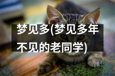 梦见多(梦见多年不见的老同学)