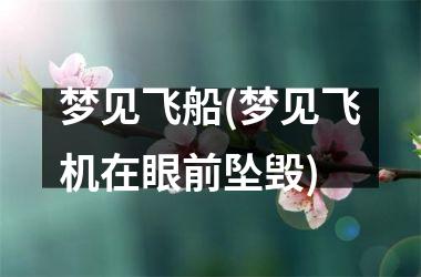 <h3>梦见飞船(梦见飞机在眼前坠毁)