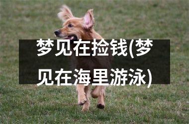 <h3>梦见在捡钱(梦见在海里游泳)