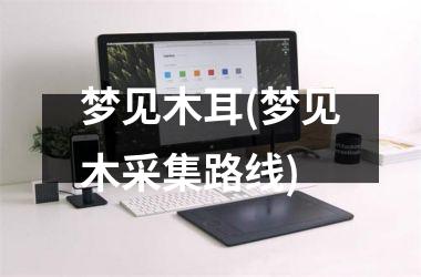 梦见木耳(梦见木采集路线)