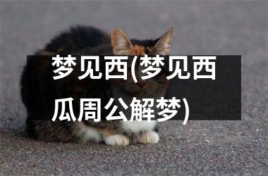 <h3>梦见西(梦见西瓜周公解梦)
