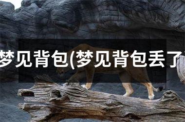 梦见背包(梦见背包丢了)