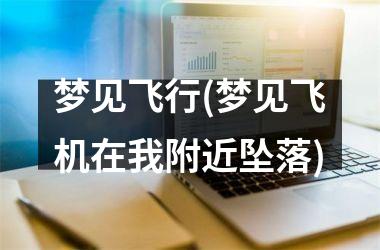 <h3>梦见飞行(梦见飞机在我附近坠落)