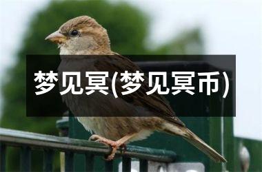 <h3>梦见冥(梦见冥币)