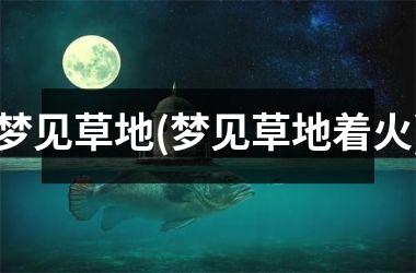 <h3>梦见草地(梦见草地着火)