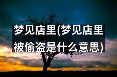 <h3>梦见店里(梦见店里被偷盗是什么意思)
