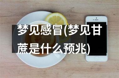 梦见感冒(梦见甘蔗是什么预兆)
