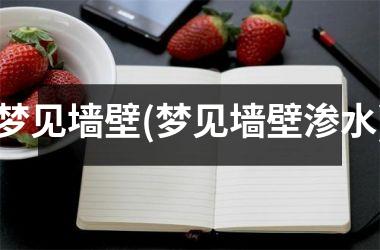 梦见墙壁(梦见墙壁渗水)
