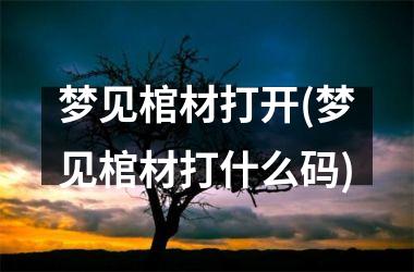 梦见棺材打开(梦见棺材打什么码)