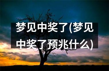 梦见中奖了(梦见中奖了预兆什么)