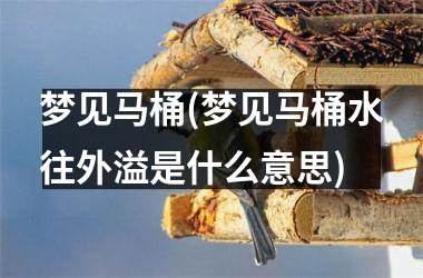 <h3>梦见马桶(梦见马桶水往外溢是什么意思)