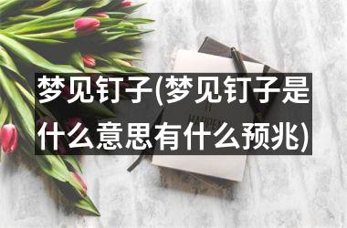 <h3>梦见钉子(梦见钉子是什么意思有什么预兆)